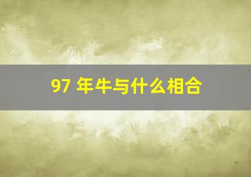 97 年牛与什么相合